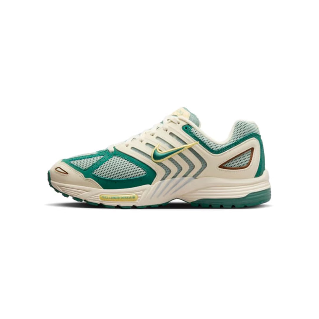 Nike Air Pegasus 2k5 "Bicoastal"