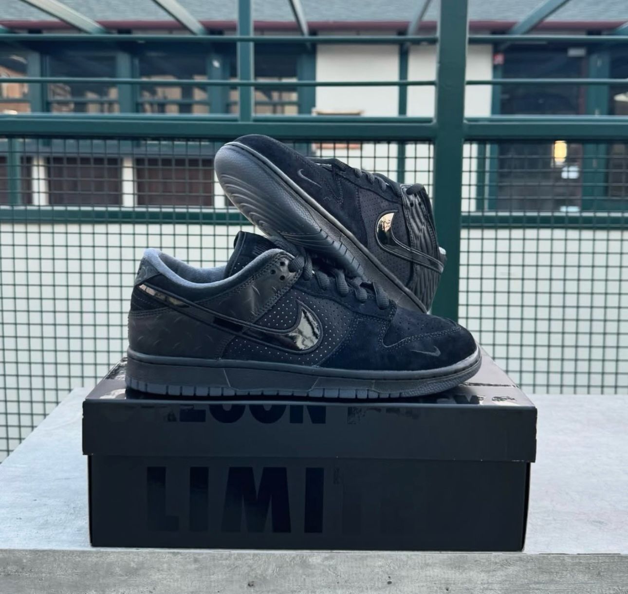 Duck of the Feather x Nike SB Dunk Low "Black University"